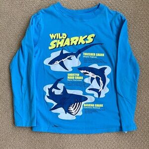 Lands’ End shirt size 8